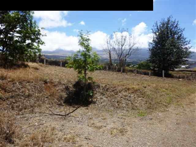 2715 Lower Kula Road Kula, HI 96790 - Photo 19 of 19 a view of a yard with trees