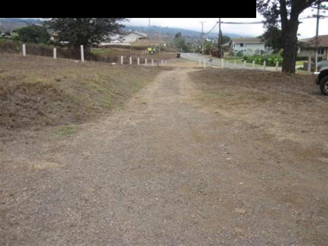 2715 Lower Kula Road Kula, HI 96790 - Photo 5 of 19 a view of a dry yard with trees