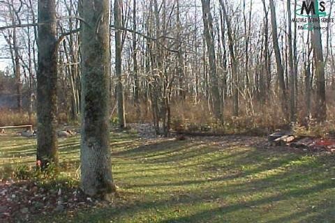 11593 South Rynn Emmett, MI 48022 - Photo 4 of 9 111950-3.JPG