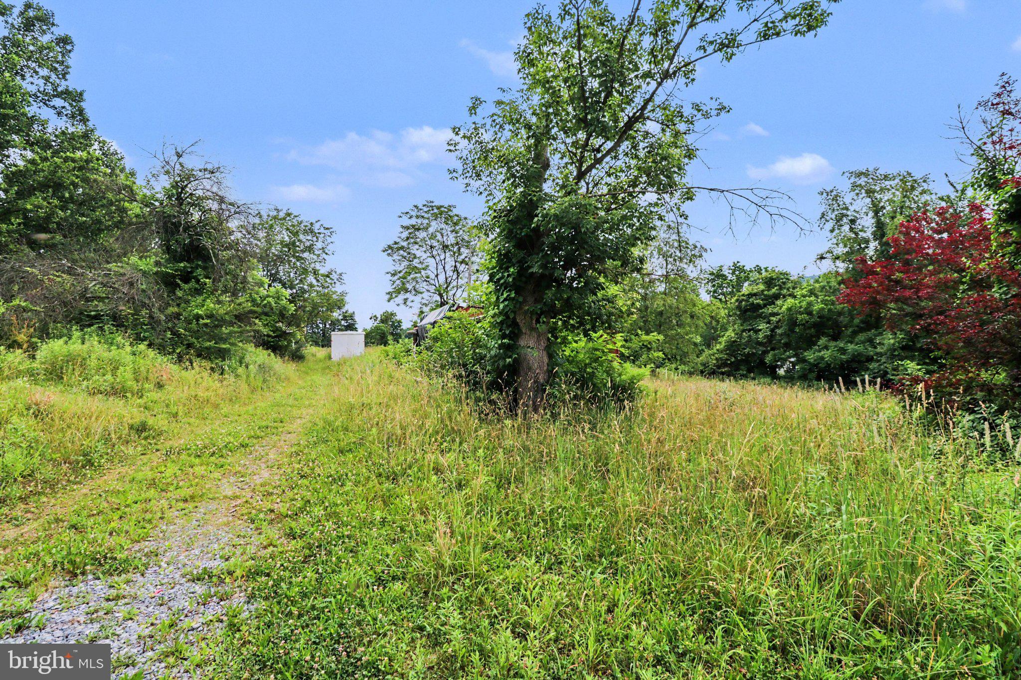 105 Hunters Church Road Liverpool, PA 17045 - Photo 9 of 21
