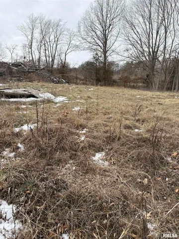 a view of a yard with trees