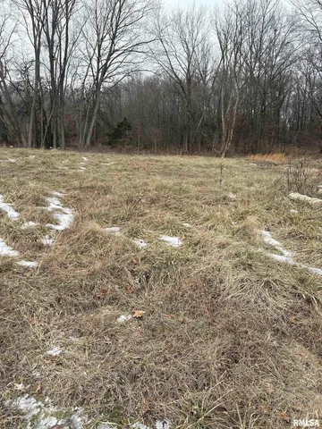 a view of outdoor space with trees