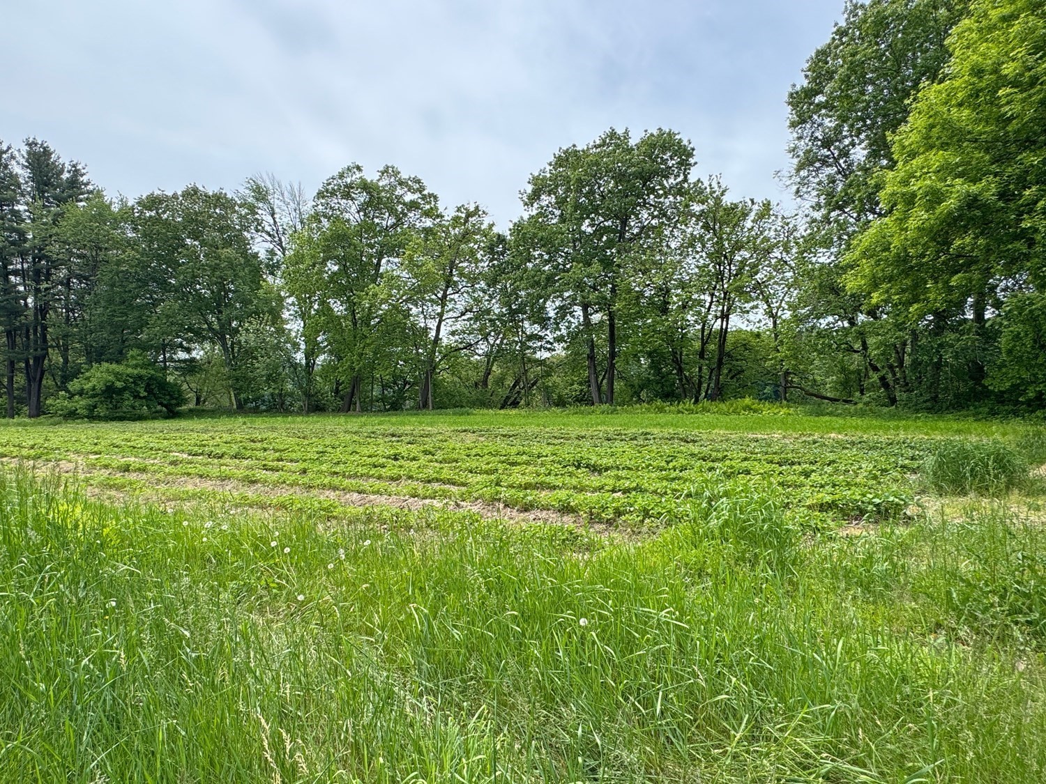 0 Meadow Road Montague, MA 01351 - Photo 18 of 21 Gallery Image 18