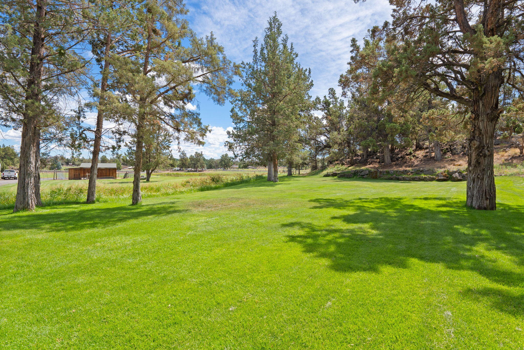 62155 Cody Road Bend, OR 97701 - Photo 50 of 61 a view of a park with large trees