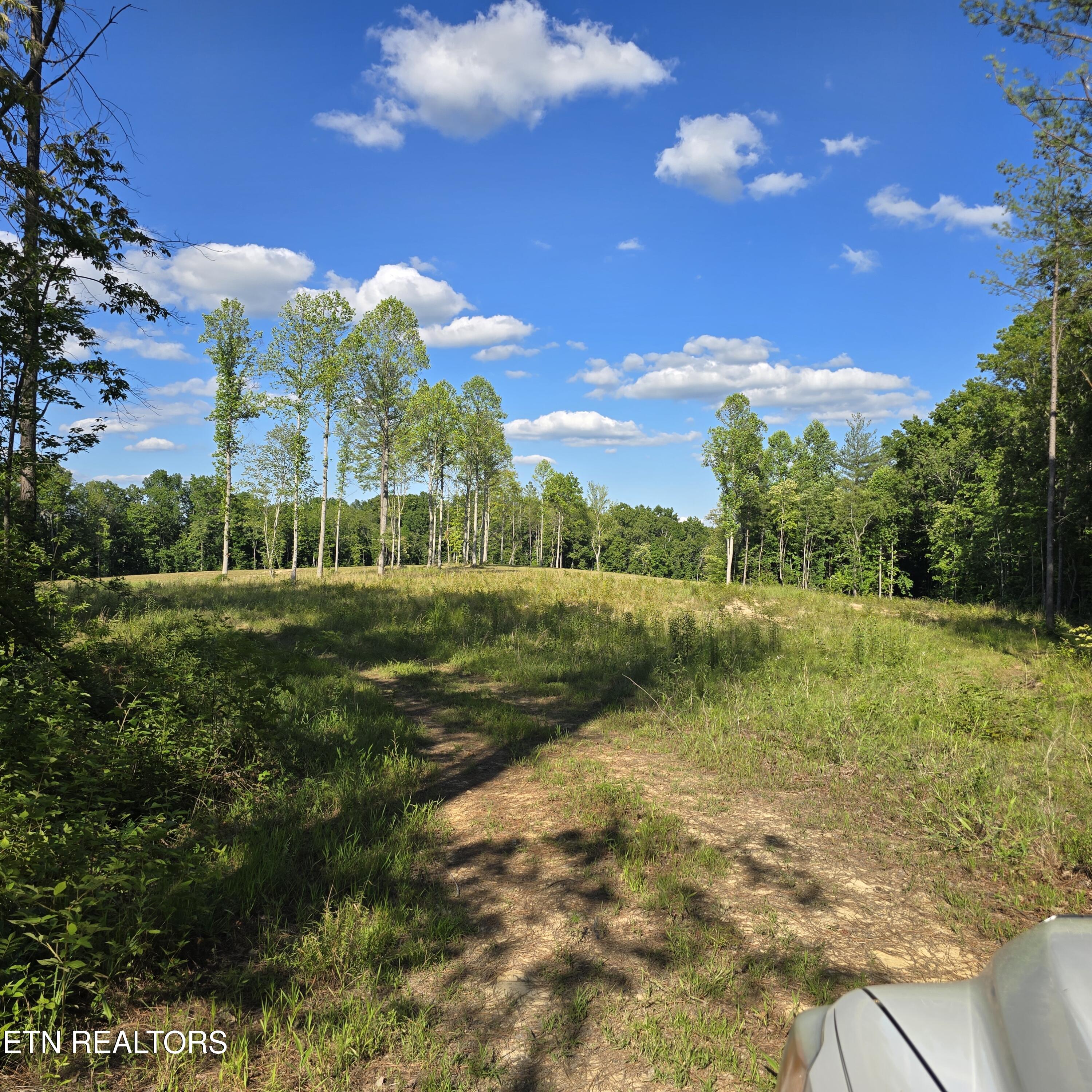80-ac Red Hill Road Sunbright, TN 37872 - Photo 12 of 16 20260620_180235