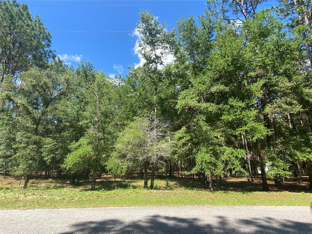 Front of Lot 39