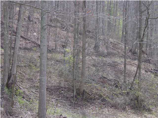 44 Adams Branch Road Frenchburg, KY 40322 - Photo 7 of 9 Additional Photo