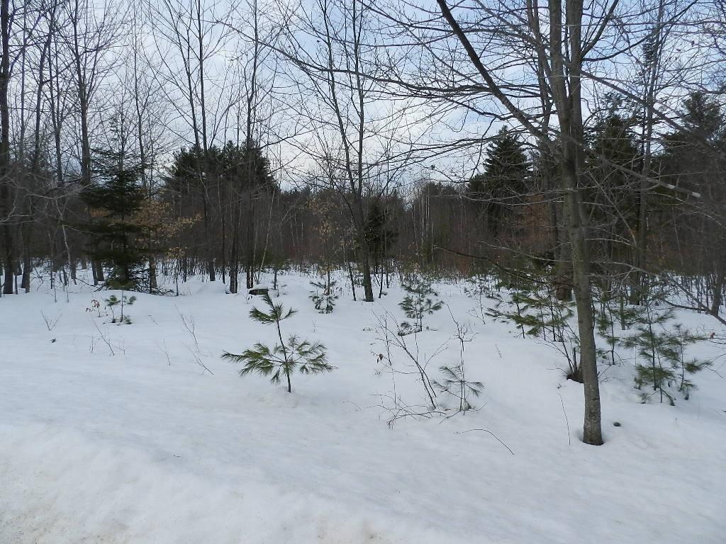 0 Parsons Road Norway, ME 04268 - Photo 4 of 20 winter view of lot from rd
