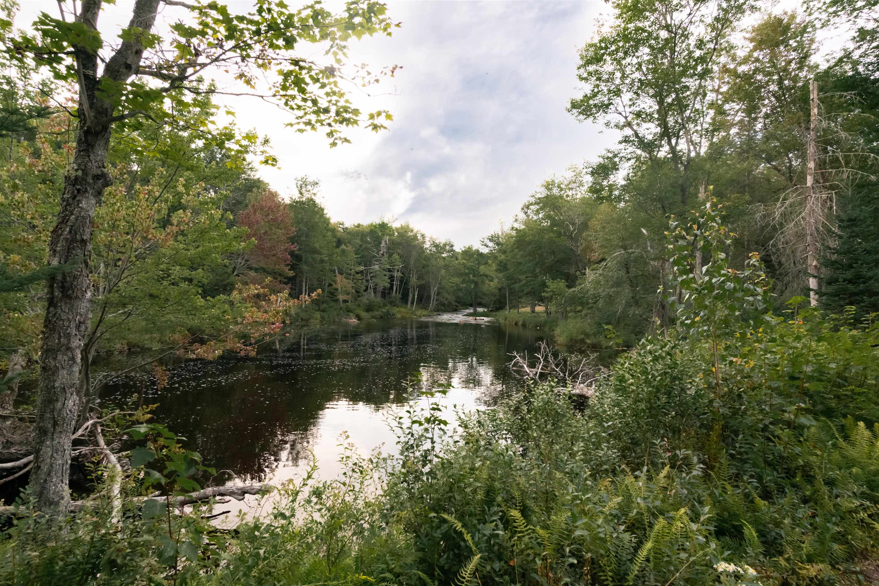 405 Washington Pond Road Marlow, NH 03456 - Photo 10 of 21