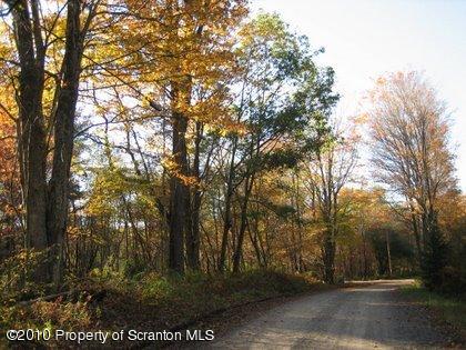 4 Ash Gap Road Moscow, PA 18444 - Photo 5 of 5 Lot view