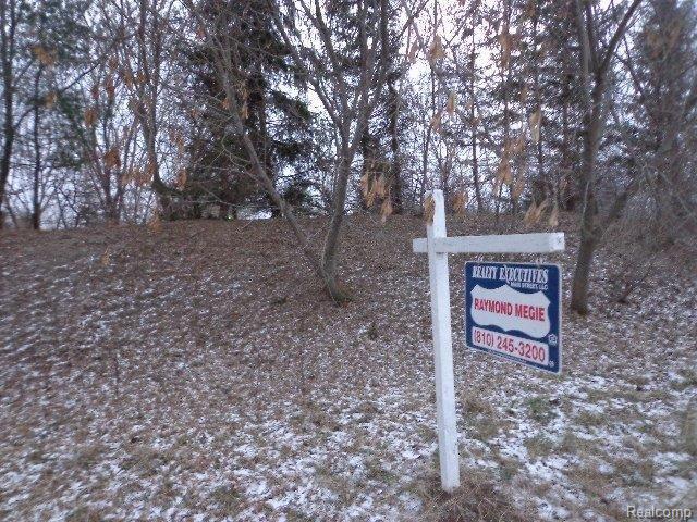 6162 Cartwright Road Kingston, MI 48741 - Photo 20 of 24 DSC00442.jpg