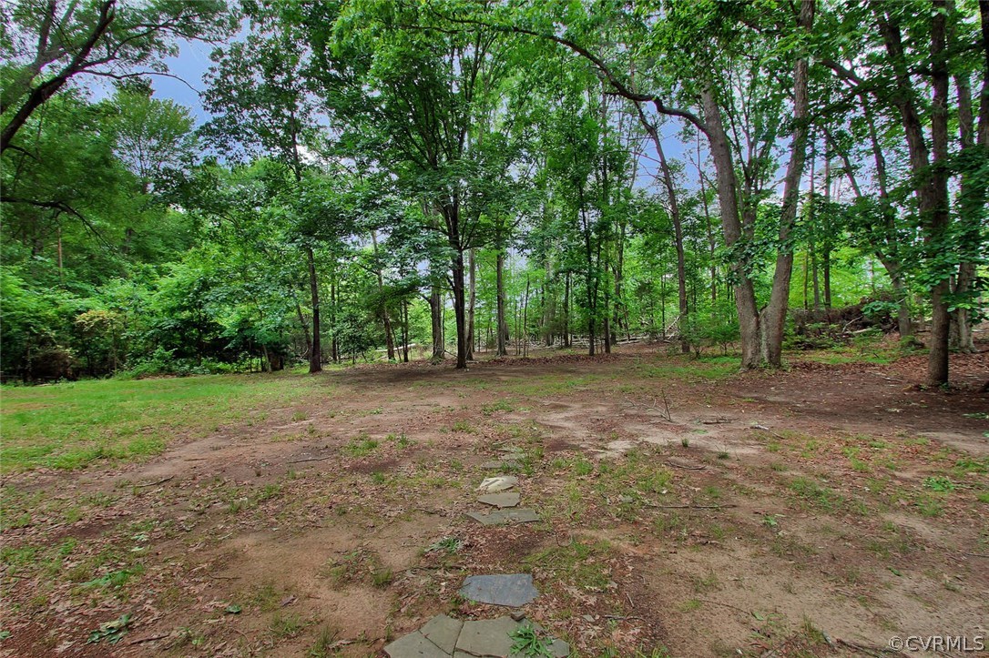 2785 Judes Ferry Road Powhatan, VA 23139 - Photo 33 of 39 Flat backyard
