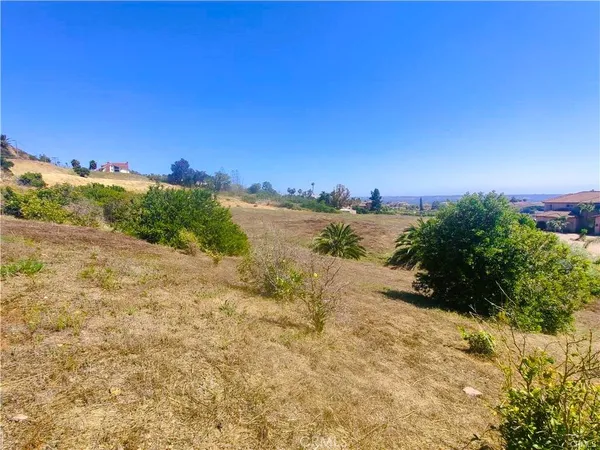 a view of a dry yard with trees in the background