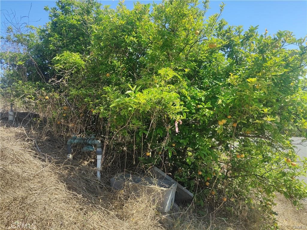 0 Indian View Drive Fallbrook, CA 92028 - Photo 15 of 18