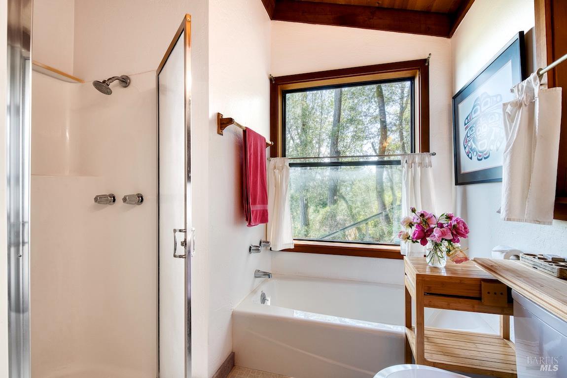 57 Laurel Street Inverness, CA 94956 - Photo 27 of 45 a bath room with a bathtub and a shower