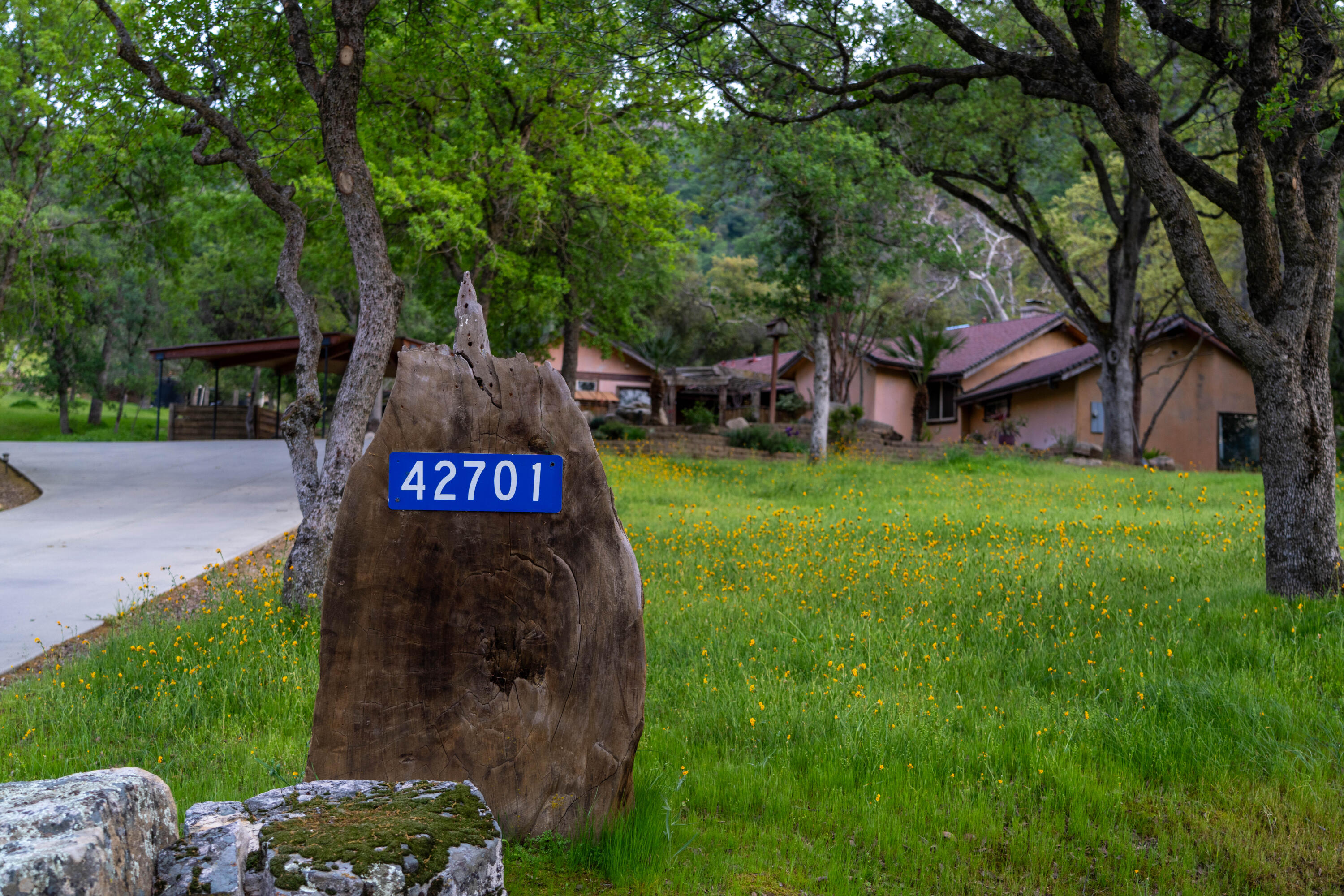 42701 Hawk Hollow Drive Three Rivers, CA 93271 - Photo 59 of 63 DSC01038