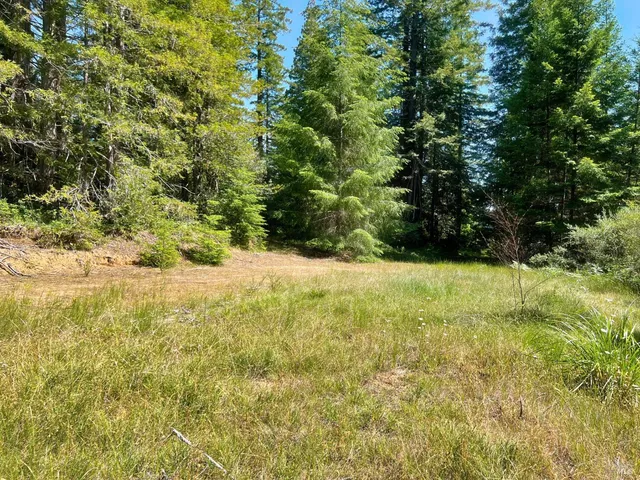 a view of outdoor space and yard