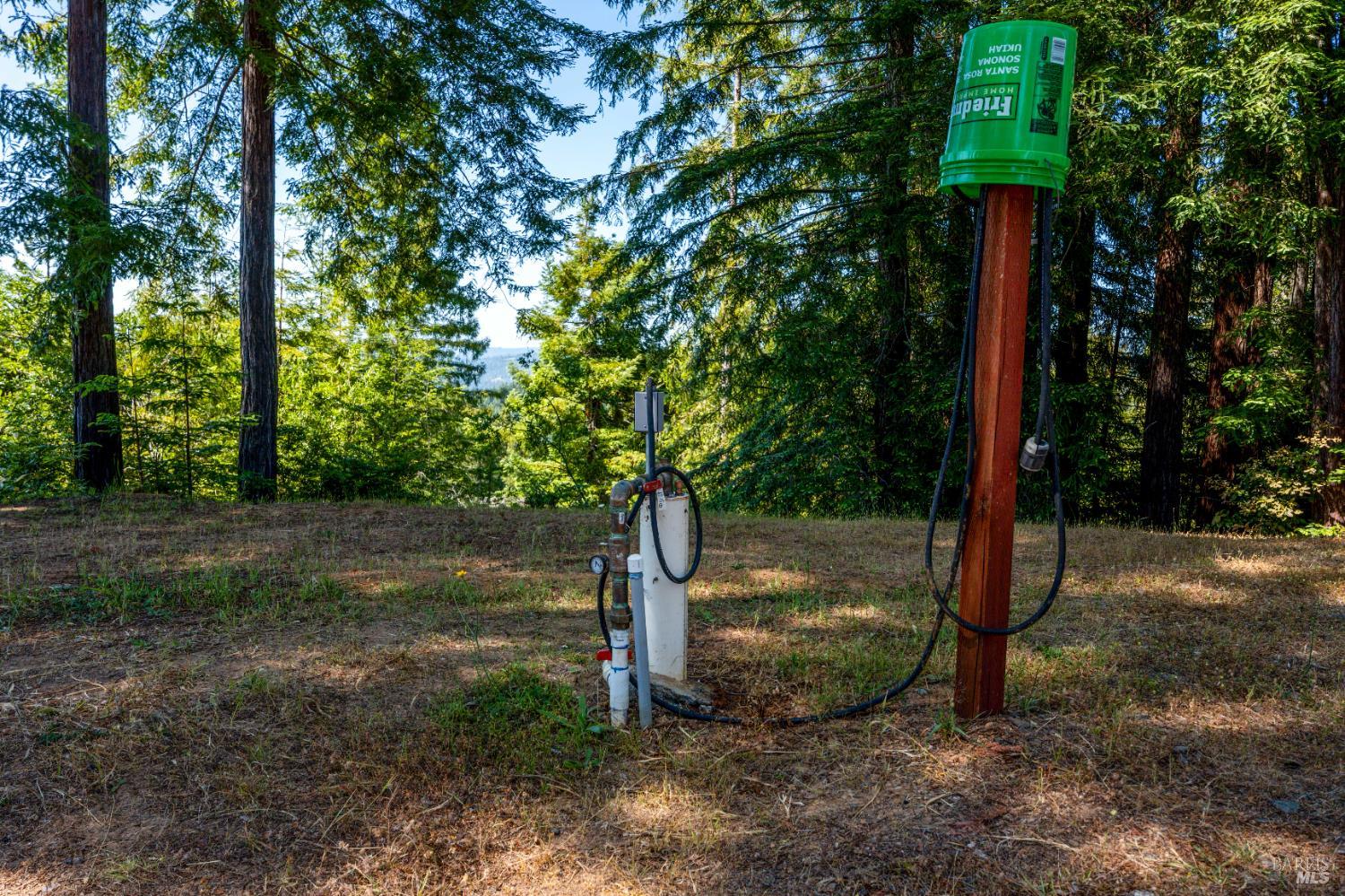 5801 Flynn Creek Road Comptche, CA 95427 - Photo 12 of 18 a view of a yard with trees