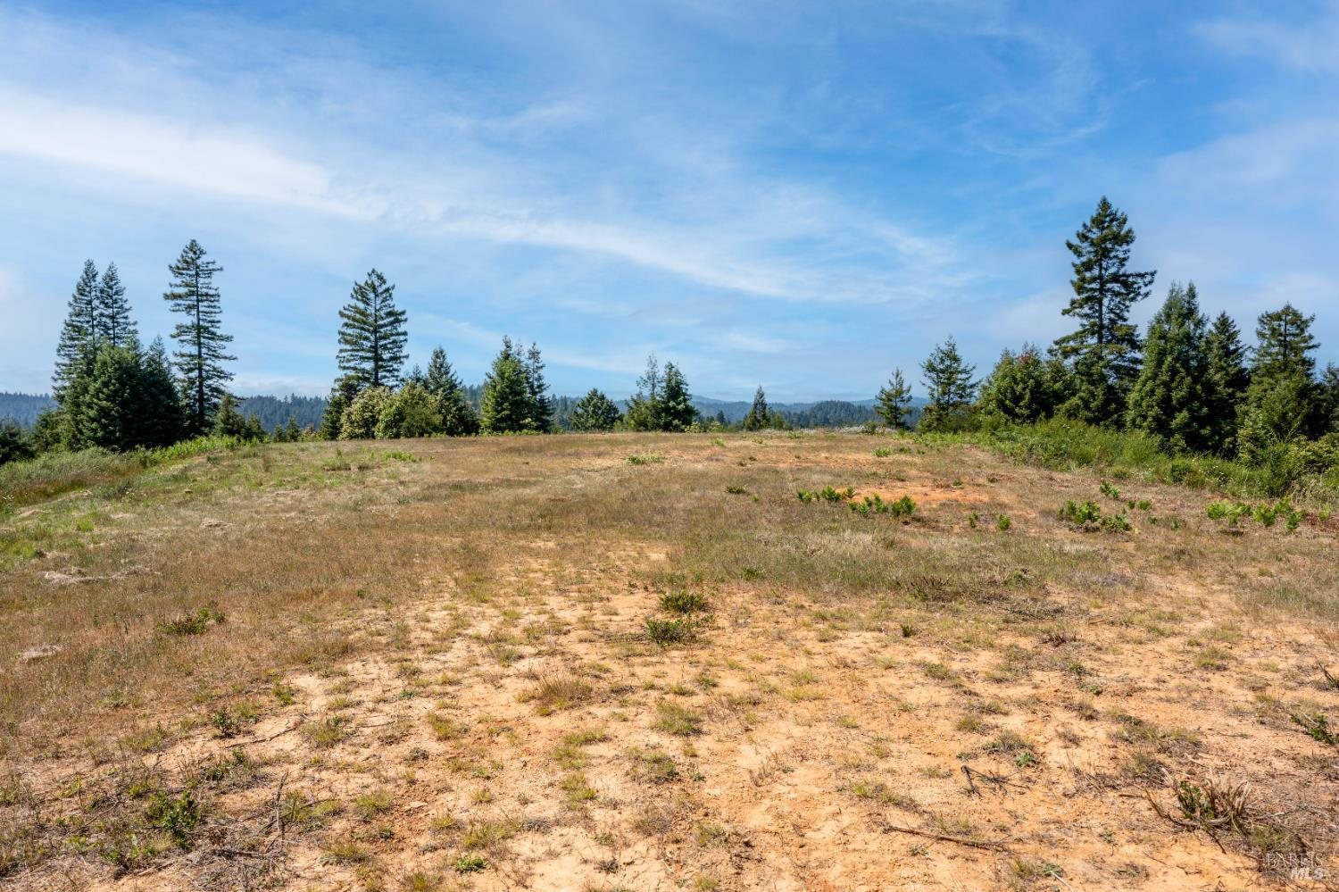 5801 Flynn Creek Road Comptche, CA 95427 - Photo 12 of 18 a view of a field with an trees in the background