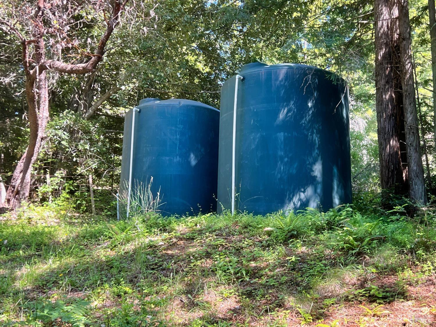 5801 Flynn Creek Road Comptche, CA 95427 - Photo 14 of 18 a house with trees in front of it