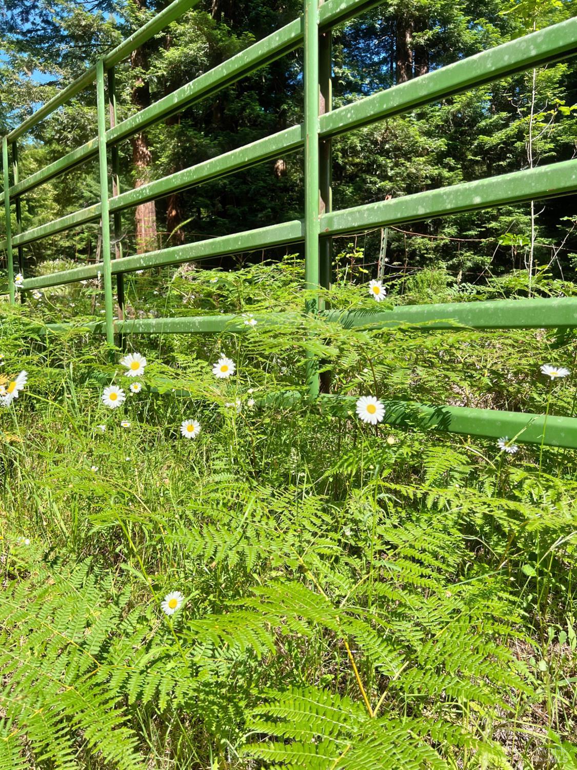 5801 Flynn Creek Road Comptche, CA 95427 - Photo 16 of 18 a view of a garden