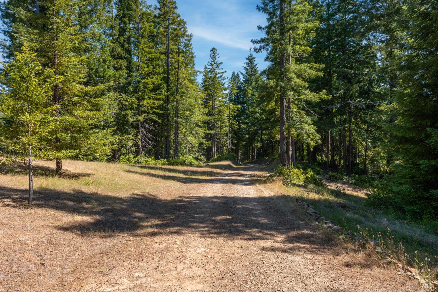 5801 Flynn Creek Road Comptche, CA 95427 - Photo 3 of 18 a view of a yard with large trees