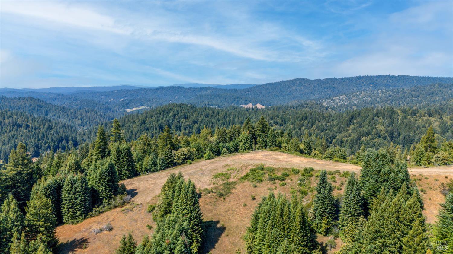 5801 Flynn Creek Road Comptche, CA 95427 - Photo 6 of 18 a view of a yard