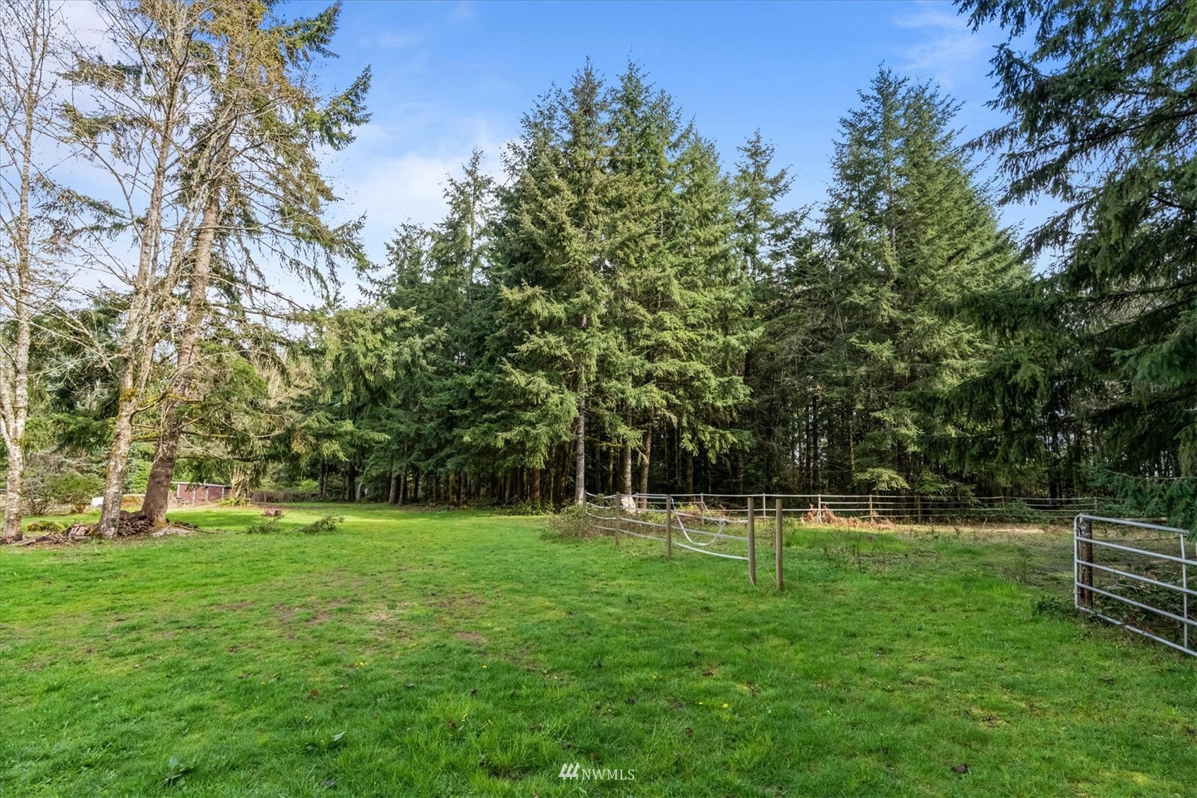 131 Tingle Road Winlock, WA 98596 - Photo 31 of 31 a view of a park with trees in the background