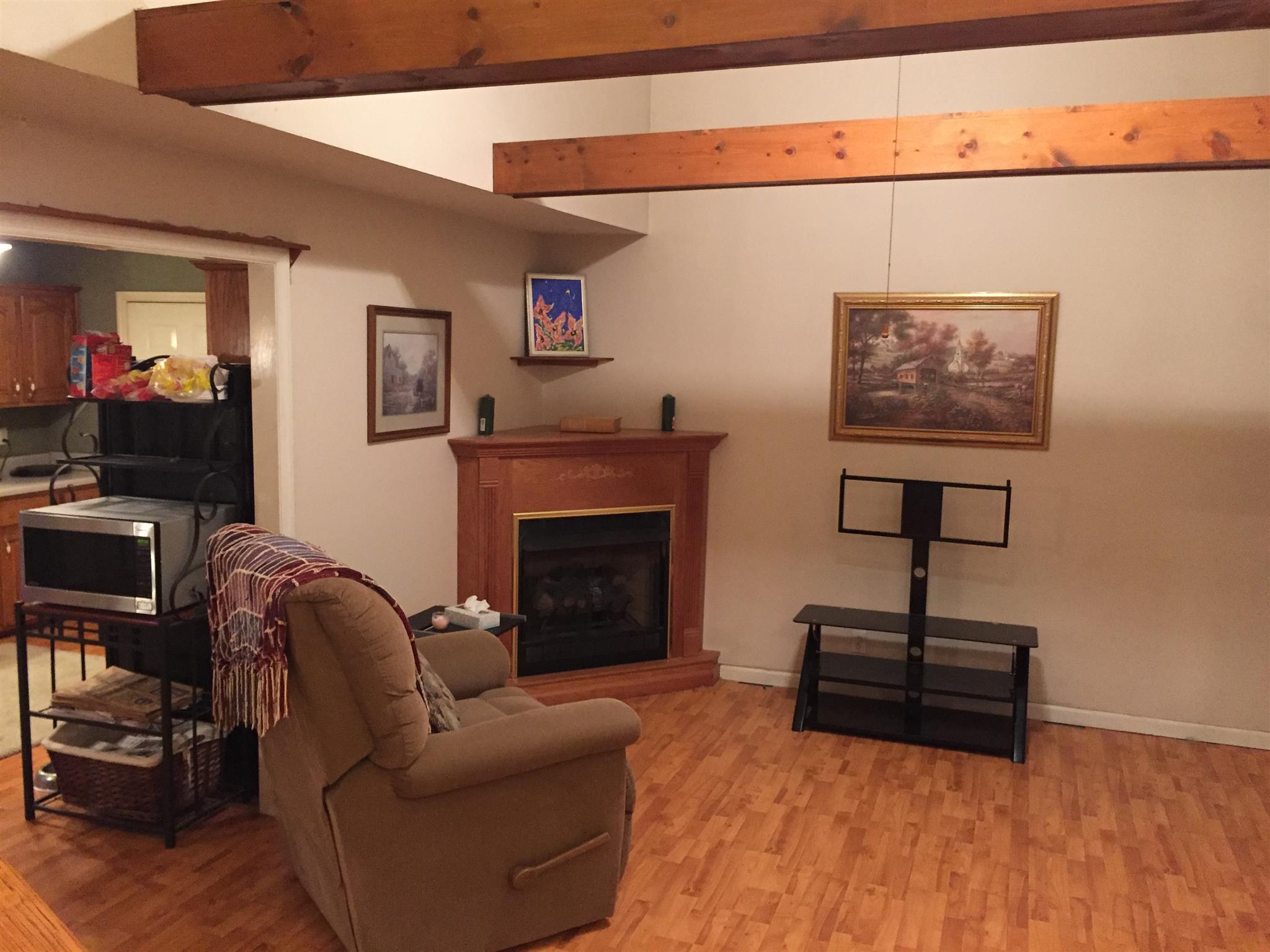 7040 Hoods Branch Road Springfield, TN 37172 - Photo 7 of 10 a living room with furniture and a fireplace
