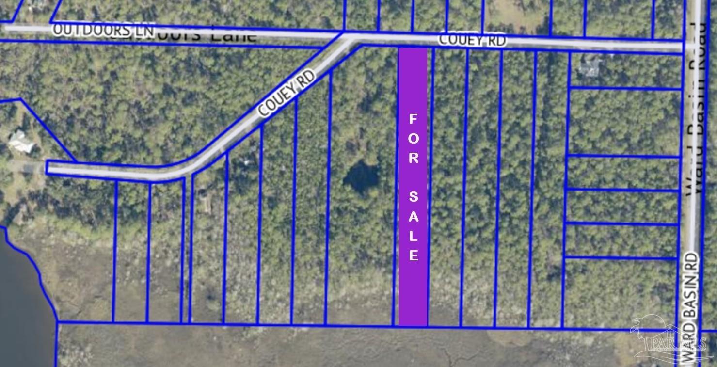 0 Couey Road Milton, FL 32583 - Photo 2 of 3