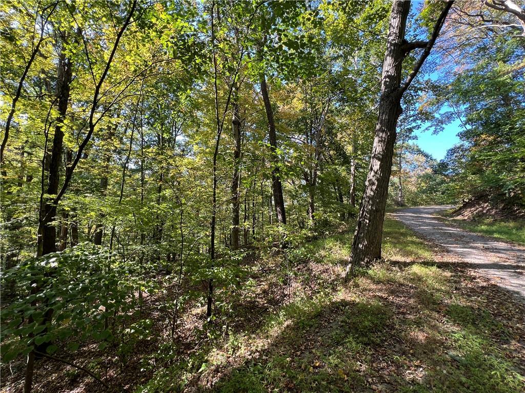 a view of a yard with a tree