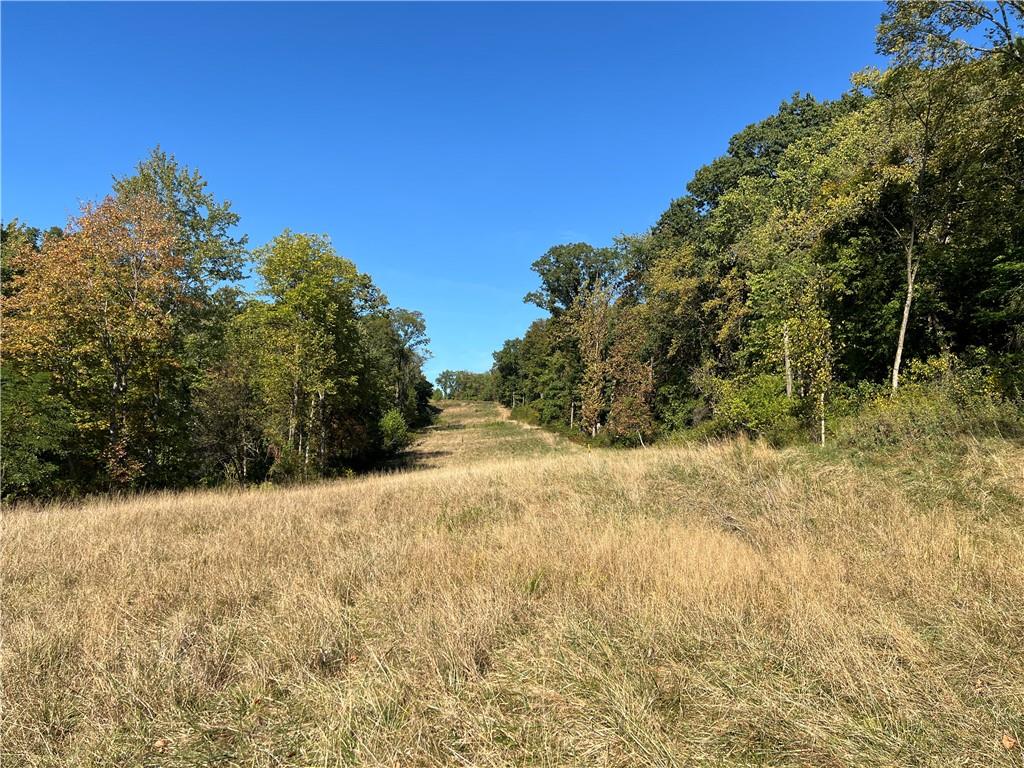 0 Kennedy Road Aliquippa, PA 15001 - Photo 2 of 10 a view of a yard with trees in the background