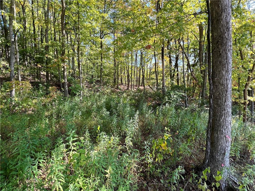 0 Kennedy Road Aliquippa, PA 15001 - Photo 4 of 10 a view of a yard with plants and trees