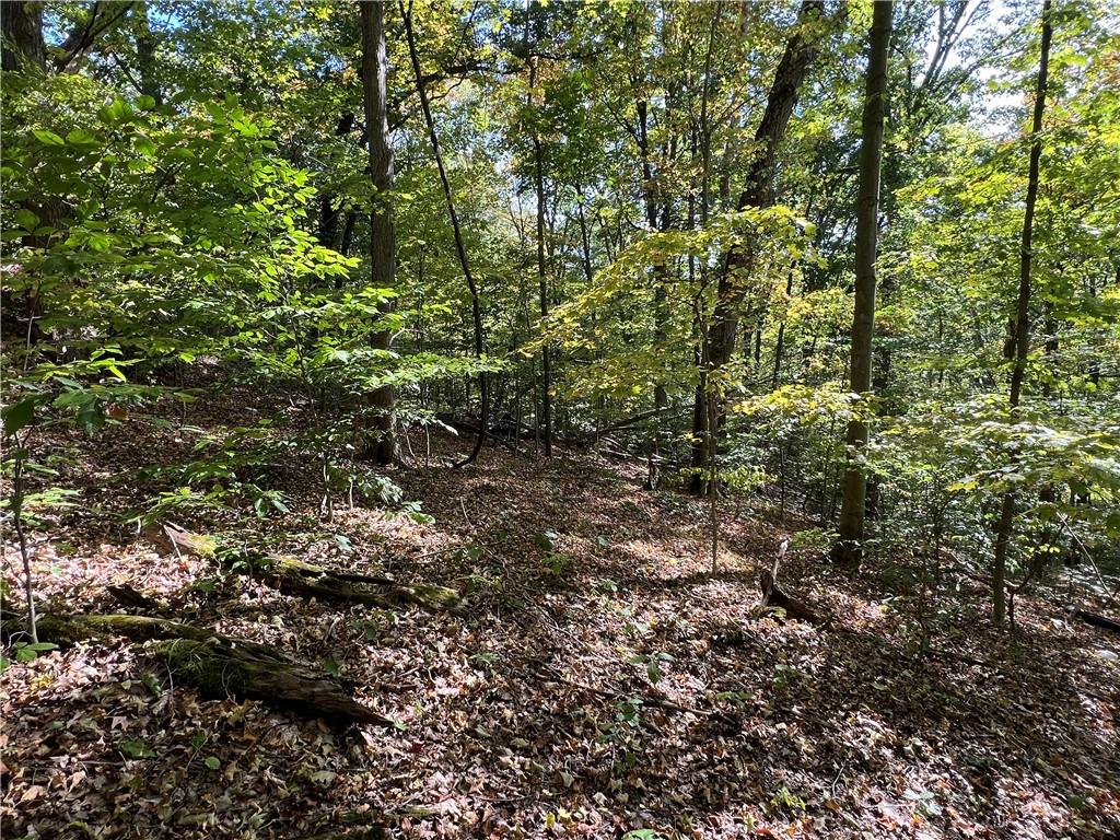 0 Kennedy Road Aliquippa, PA 15001 - Photo 5 of 10 a view of a large yard with plants and trees