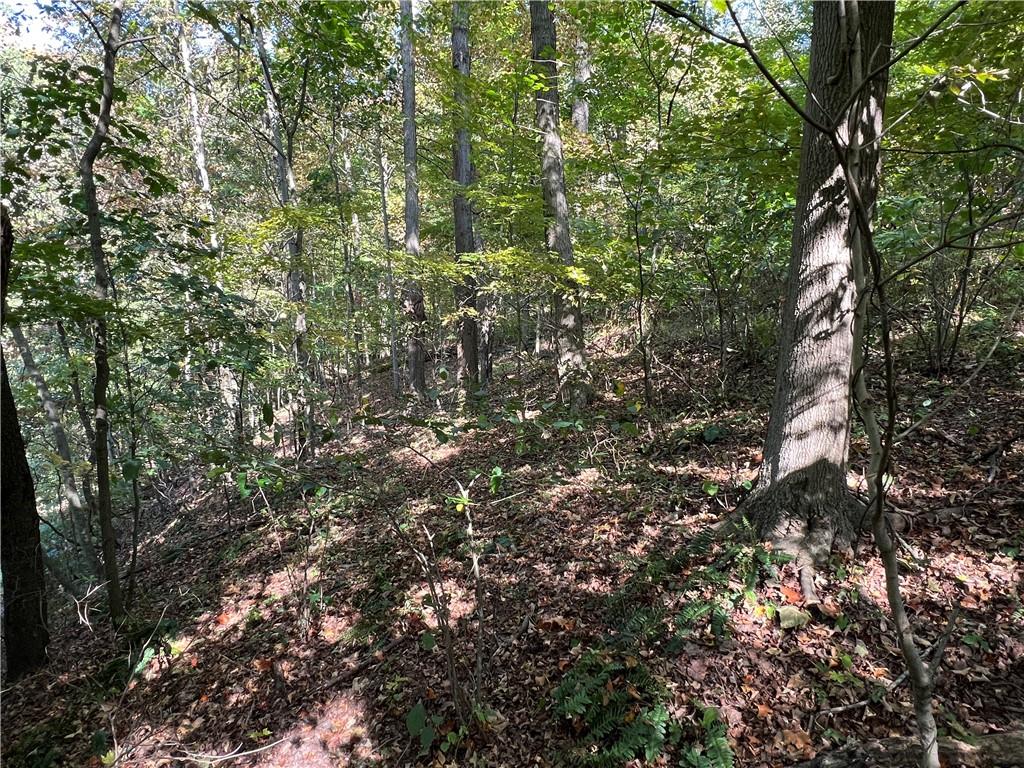 0 Kennedy Road Aliquippa, PA 15001 - Photo 7 of 10 a view of a tree in a yard