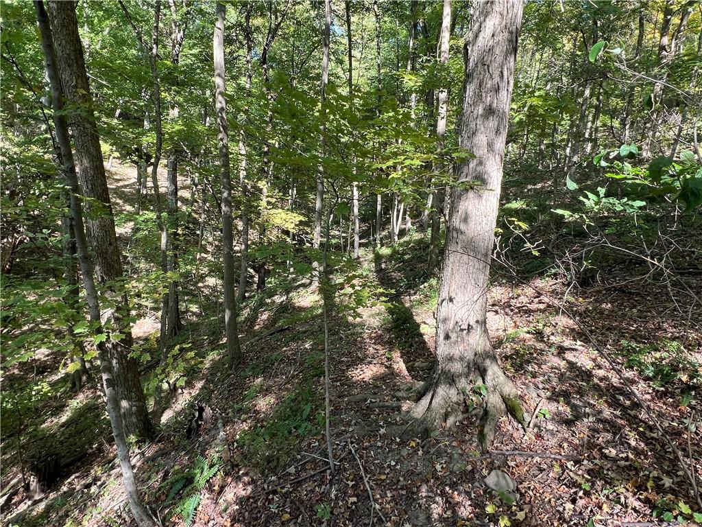 0 Kennedy Road Aliquippa, PA 15001 - Photo 8 of 10 a view of a tree