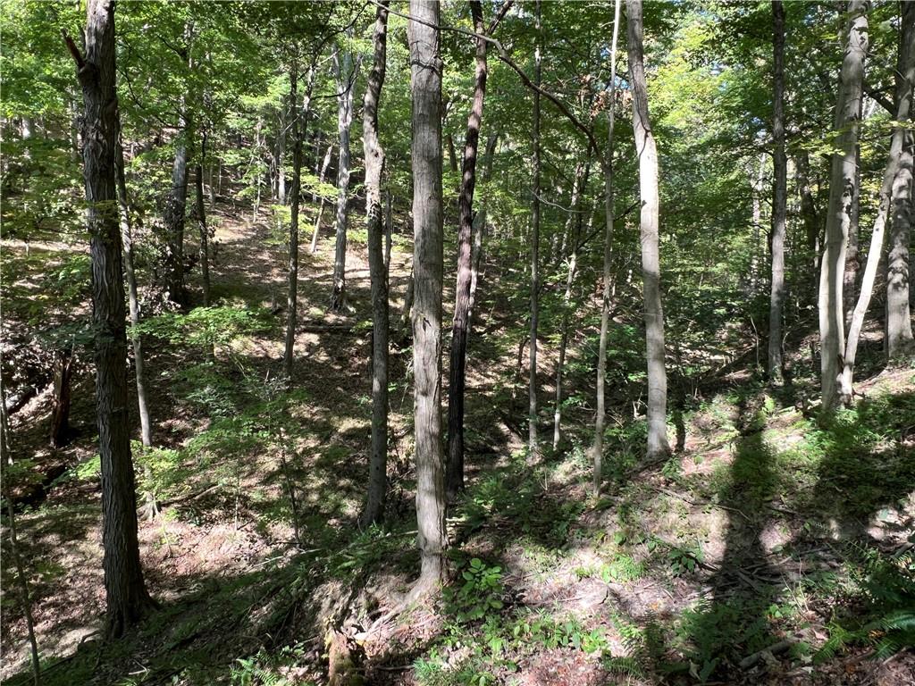 0 Kennedy Road Aliquippa, PA 15001 - Photo 9 of 10 a backyard of a house with lots of trees
