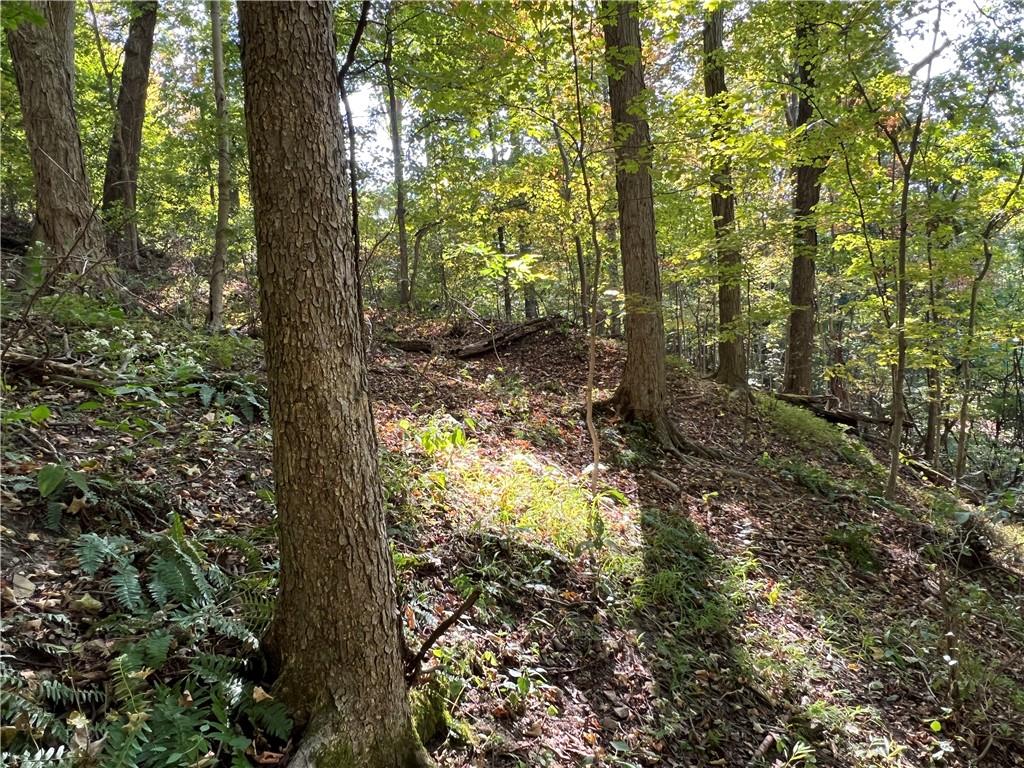 0 Kennedy Road Aliquippa, PA 15001 - Photo 10 of 10 a view of a yard with large trees
