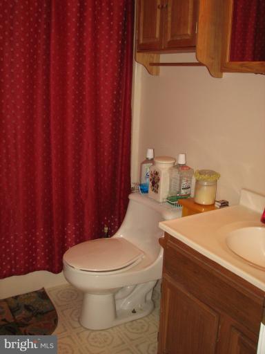 218 Long View Road Linden, VA 22642 - Photo 14 of 16 a bathroom with a toilet a sink and curtain