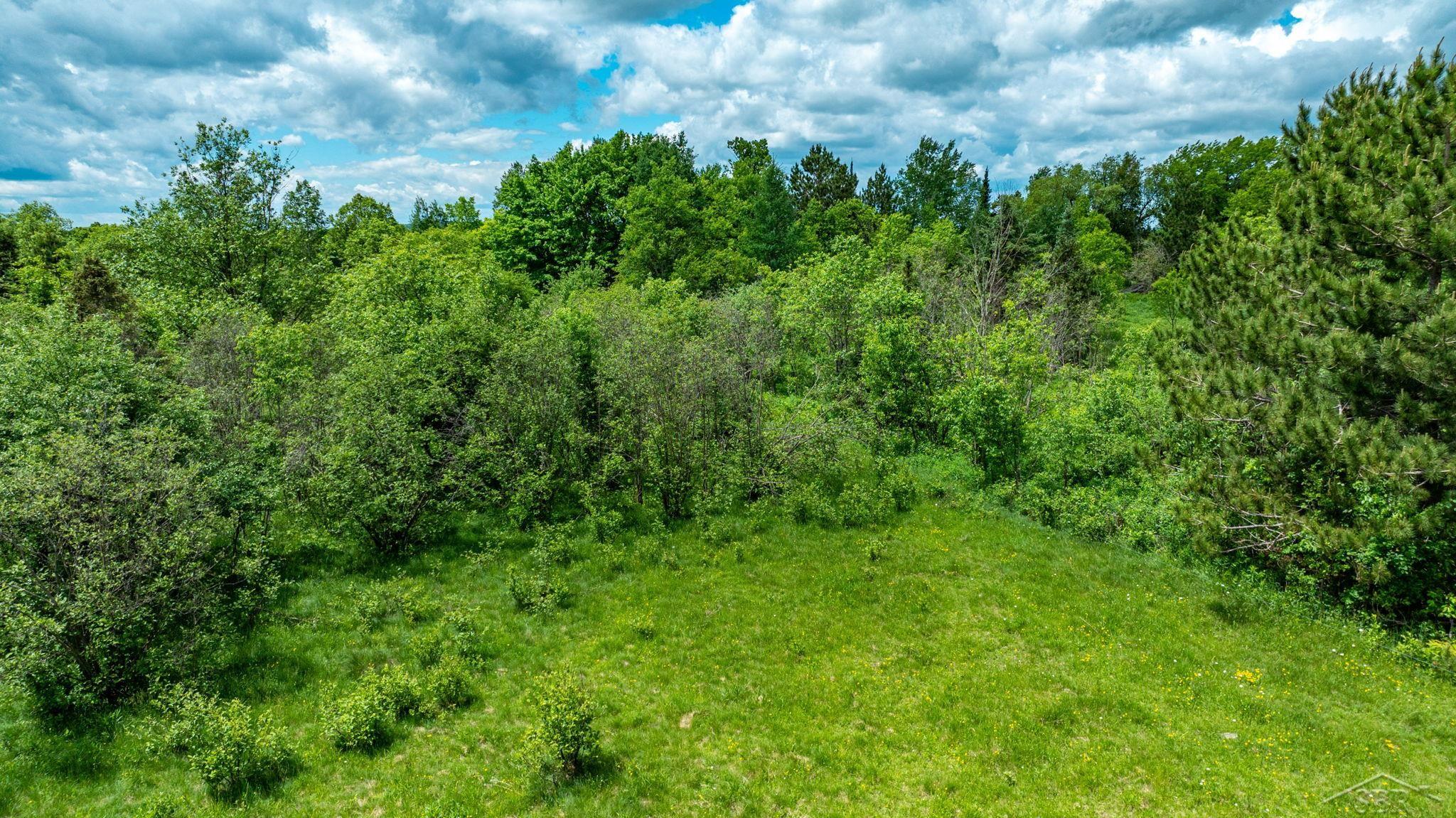 25615 Leo S Road Watton, MI 49970 - Photo 31 of 72