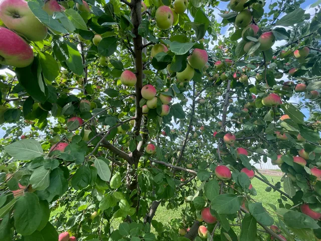 $385,000 | 49404 109th Avenue, Gonvick, MN 56644