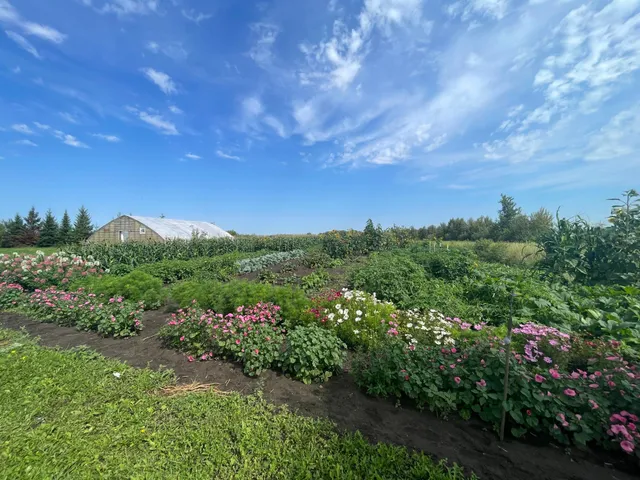 $385,000 | 49404 109th Avenue, Gonvick, MN 56644