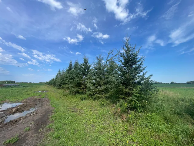 $385,000 | 49404 109th Avenue, Gonvick, MN 56644