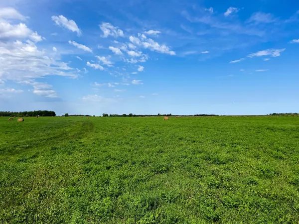 $385,000 | 49404 109th Avenue, Gonvick, MN 56644