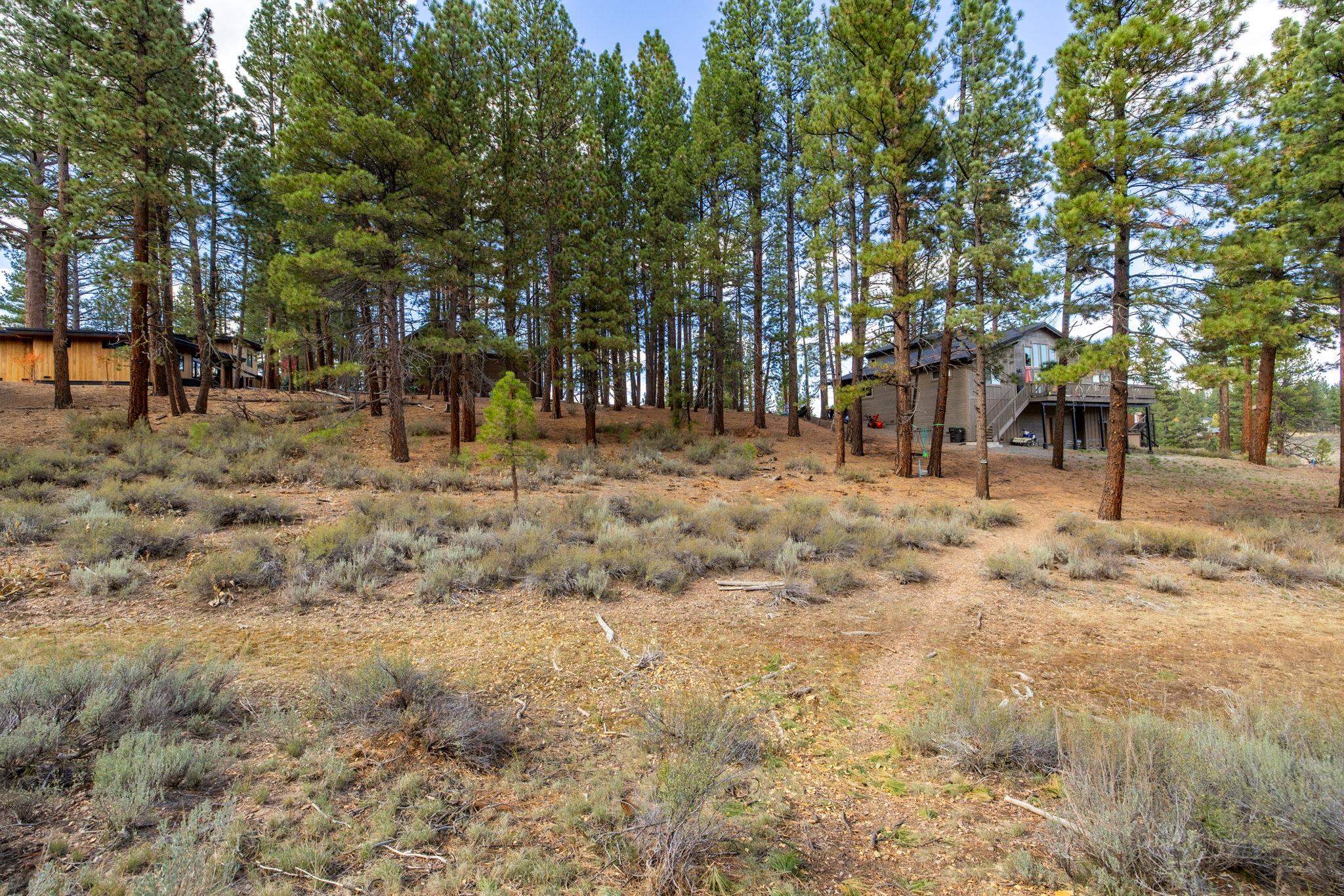 10703 Winchester Court Truckee, CA 96161 - Photo 16 of 27