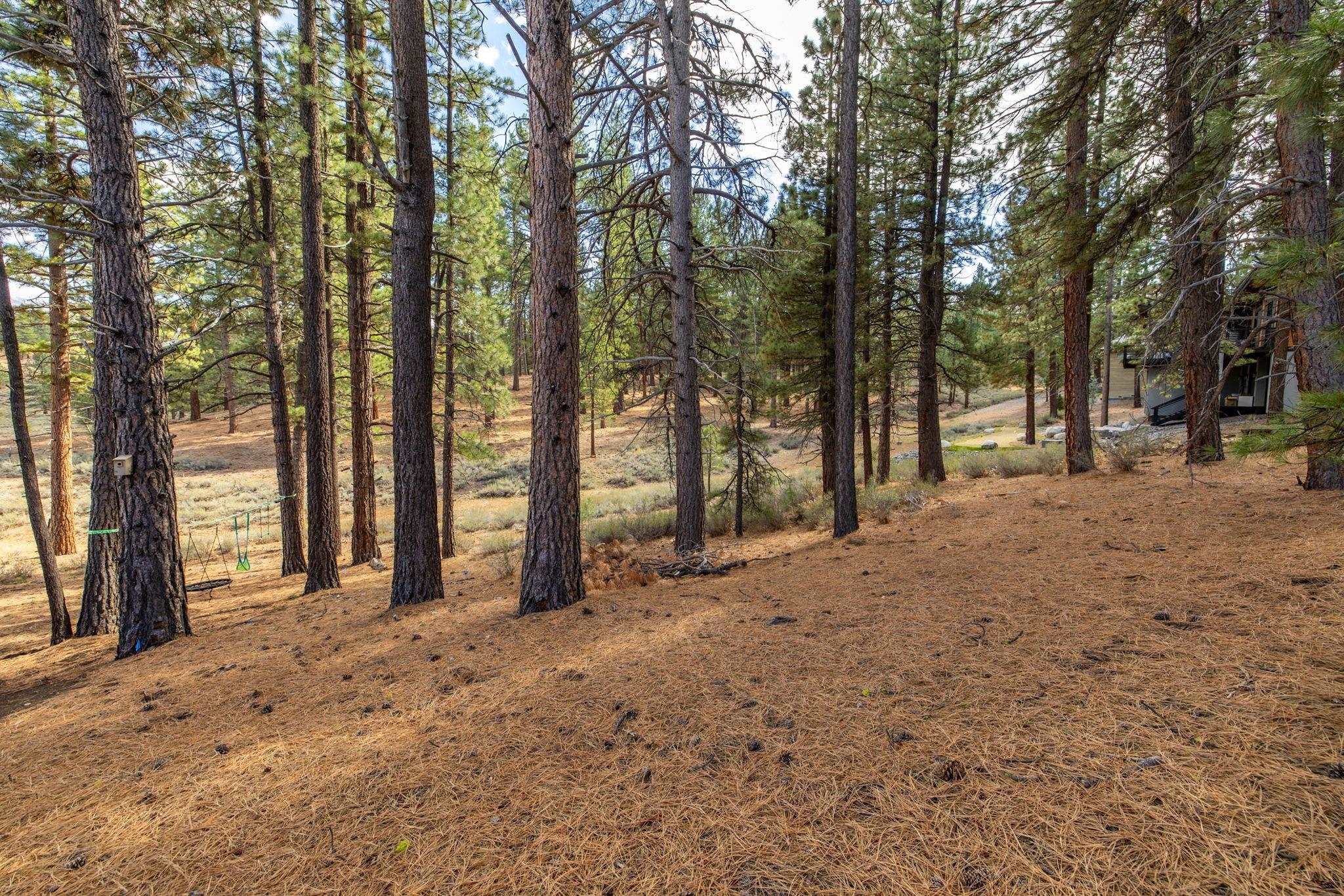 10703 Winchester Court Truckee, CA 96161 - Photo 17 of 27