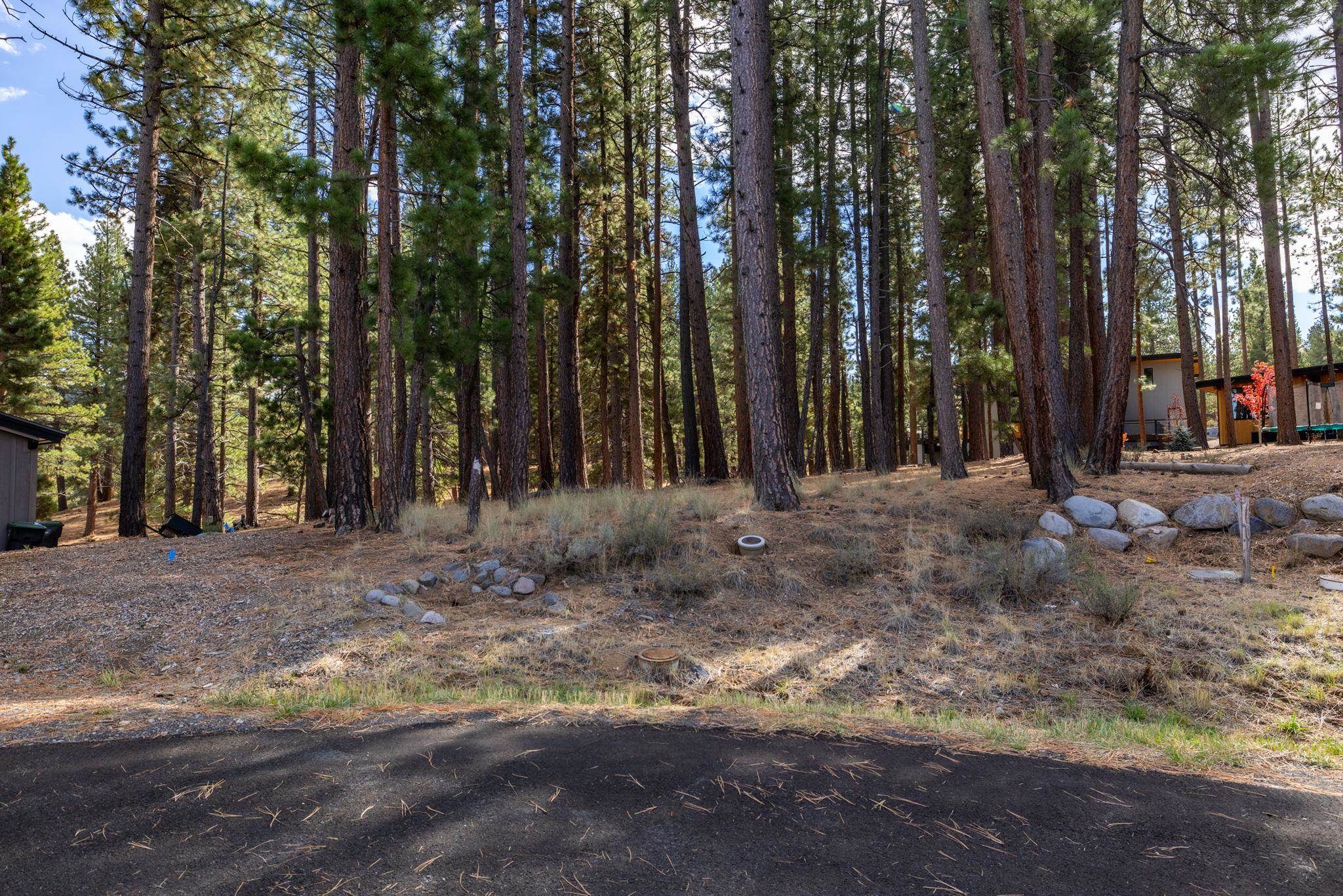 10703 Winchester Court Truckee, CA 96161 - Photo 18 of 27 a view of a yard with trees in the background