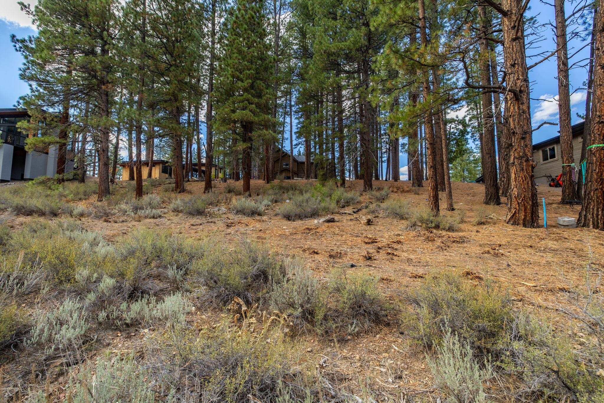 10703 Winchester Court Truckee, CA 96161 - Photo 21 of 27