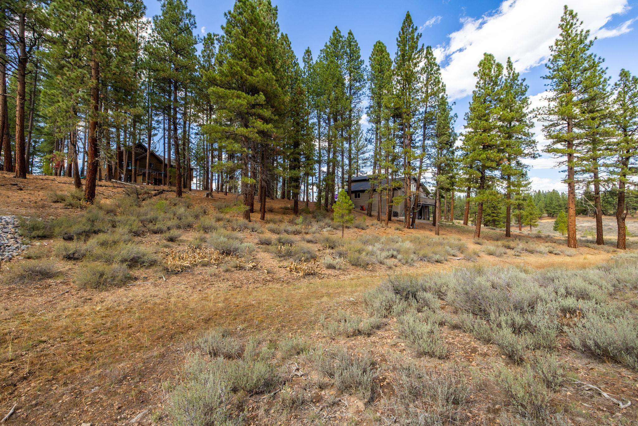 10703 Winchester Court Truckee, CA 96161 - Photo 21 of 27 a view of outdoor space with trees