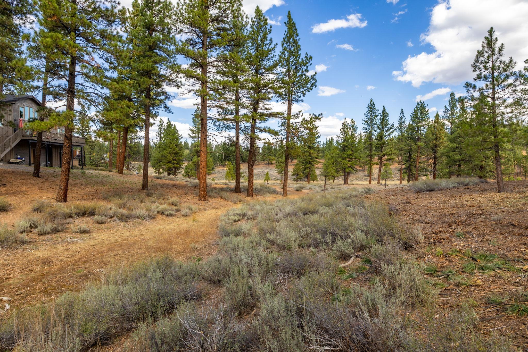 10703 Winchester Court Truckee, CA 96161 - Photo 22 of 27 a view of road with large trees